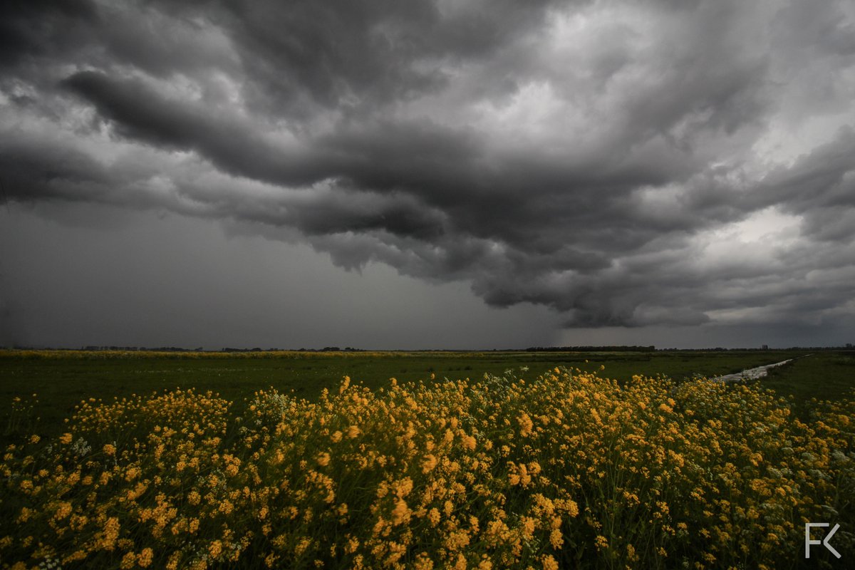 ferrykrauweel's tweet photo. Mooie shelf met flink waterscherm eronder, #Hoekschewaard zojuist ! #onweer #weerfoto http://t.co/0hW2CGZGAZ