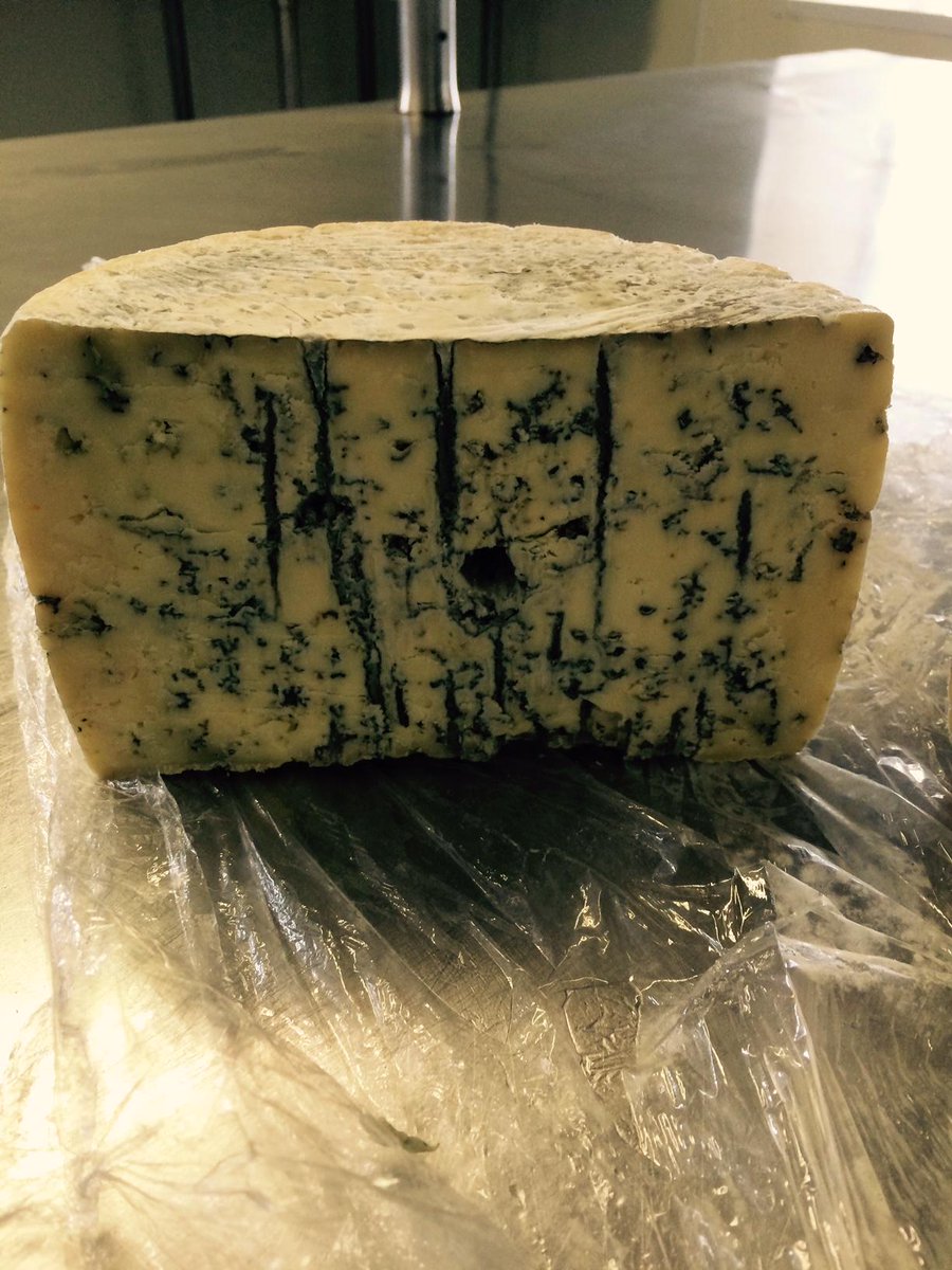 flxfarms's tweet photo. @ITHWaterBuff your wheels are aging gracefully....for the moment anyway! @IthacaMilk #BuffaloBlue http://t.co/nyOrNx4Rqs