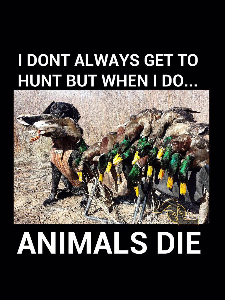 Adrenallinellc's tweet photo. We all have a friend like this! #besthunter #ultimatehunter #betterthanyouathunting #hunting http://t.co/aQuJih60P2