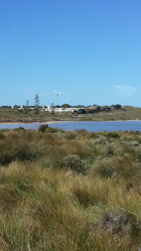 GreenAsiaForce's tweet photo. Wind turbine generating electric supply for facilities in Rottnest Island, Western Australia. http://t.co/rhitn4Zozd