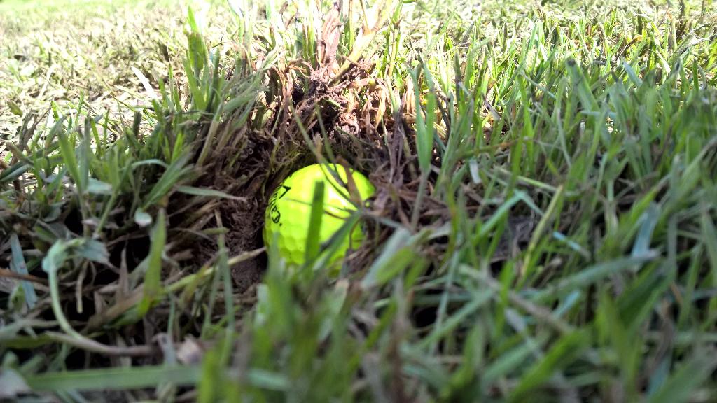 Sophie_Dumay's tweet image. Le golf par 3#enterrer #noyer #tauper