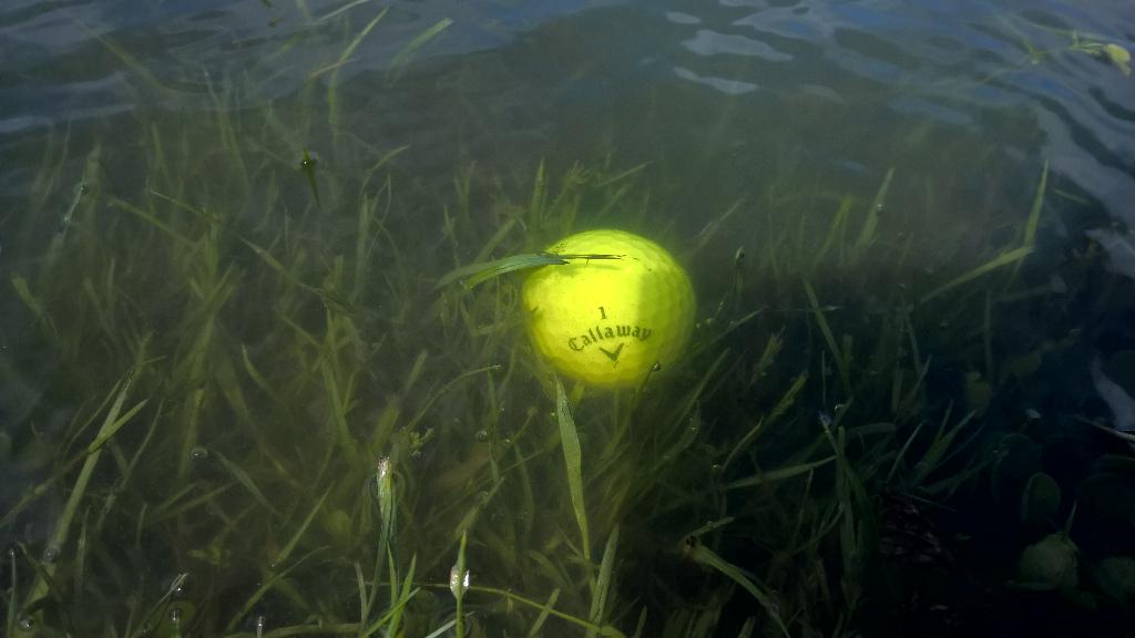 Sophie_Dumay's tweet image. Le golf par 3#enterrer #noyer #tauper