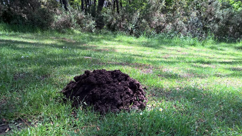 Sophie_Dumay's tweet image. Le golf par 3#enterrer #noyer #tauper