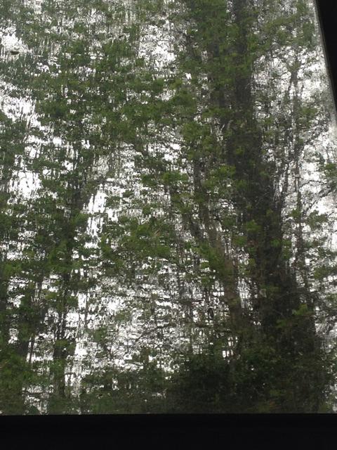 MarijnteKolste's tweet photo. Even een heel harde regen en onweer in mijn atelier @wickenburgh voelt altijd spannend. http://t.co/Ib7bpo0f6U