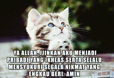 MuhammadGym77 tweet picture