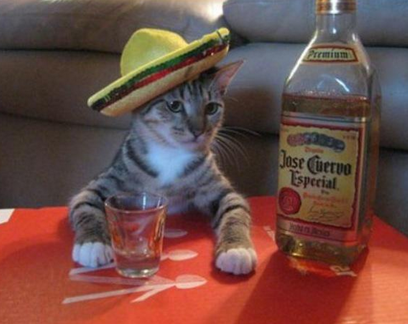 MensHumor's tweet photo. Me today. http://t.co/bENoySPTd6