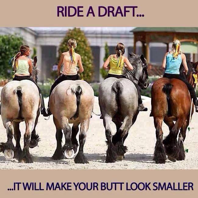 Does Horseback Riding Make Your Bum Bigger