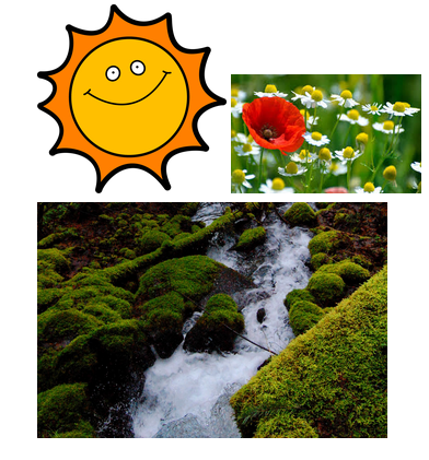 bdsoccer5's tweet photo. Light energy (sun) --> Chemical energy (water) --> kinetic energy (plants growing) = spring flowers! #209energy http://t.co/jmUR0ubv8u