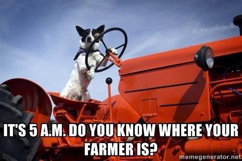 MaryCLBL's tweet image. It's time for #farmershours! Give to #landbasedlearning for #BIGDoG2015 during the 5-6 am hour. #whatafarmerdoes