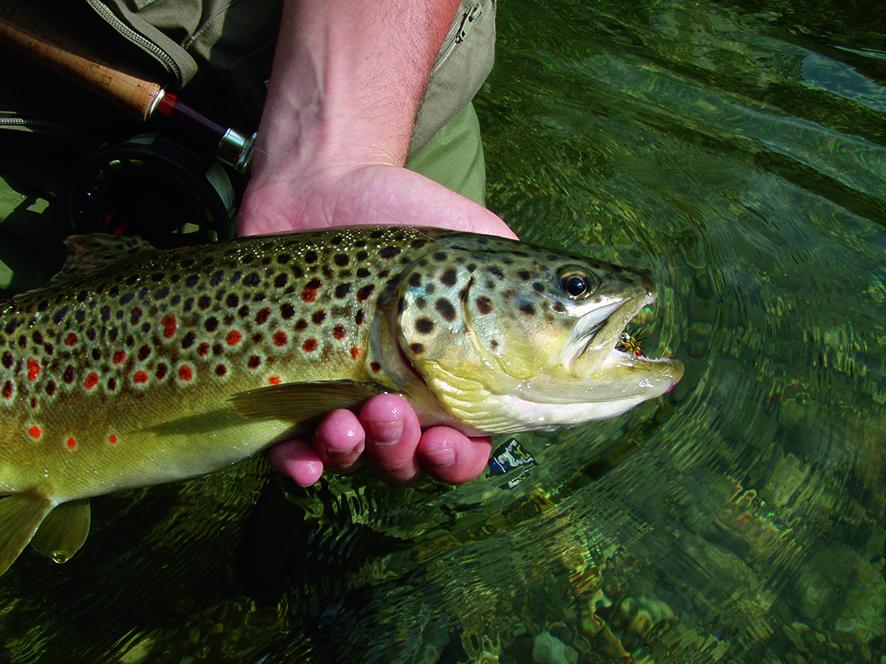 Fish_around tweet picture