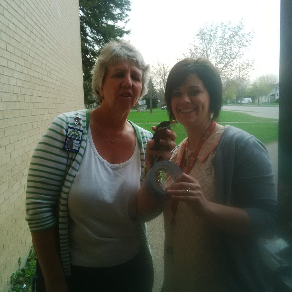 Bird course <a href="/tollgatetech/">Tollgate Tech.</a> tweeting in the morning. Involves net-making and bird identification