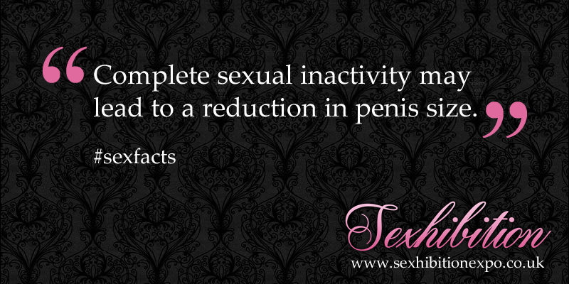 SexhibitionUK's tweet photo. #Sexfacts #SexNews #Sexhibition http://t.co/A5TnZZrBM1