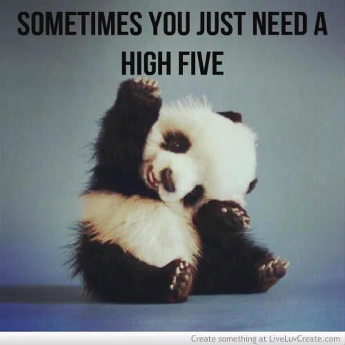 jodylachanse's tweet photo. @jennyboo67 #high5GHS http://t.co/dFaqYp4IOM