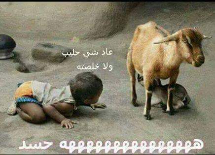 HzjsjcvA's tweet photo. ههههه http://t.co/xeqpR48hwt