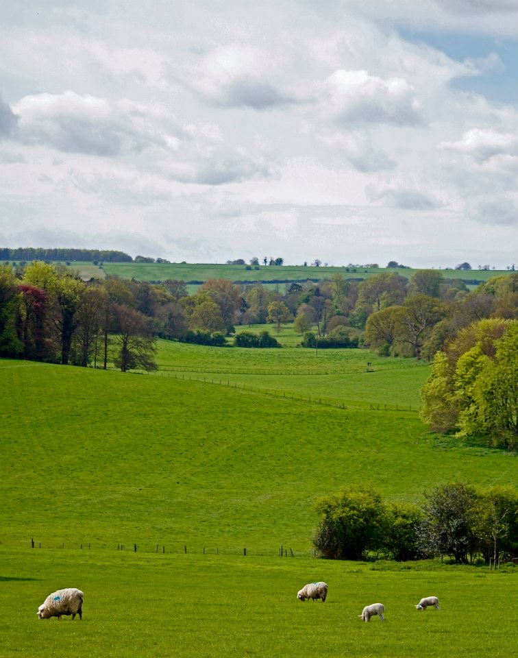 lifemags's tweet image. Our favourite #springsnaps from the weekend by @HenryWAscoli - Share your shots here or @lifemags using #locallife