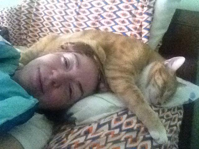 Missus Couch On Twitter Woke Up With A Cat Hat This Morning Http