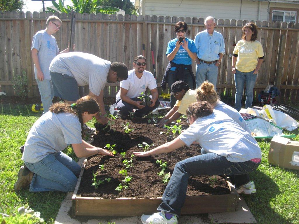 WayUpSac's tweet photo. Through #WayFresh, participants transform traditional food deserts into thriving food resources. #BIGDoG2015 http://t.co/K7tcfH0Ps4