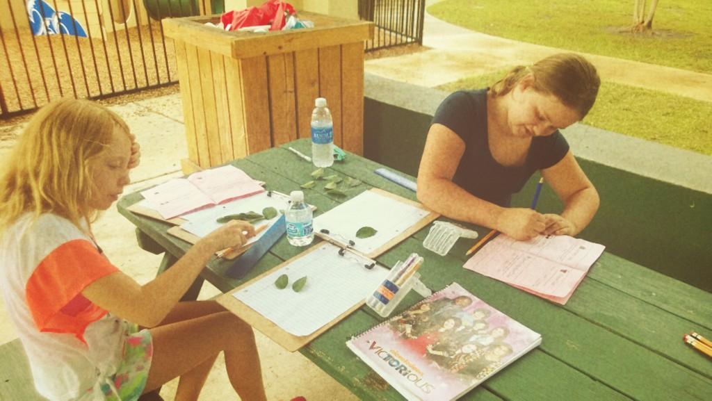 mrfarnumsclass's tweet image. Math scavenger hunt on Outdoor Day! #OutdoorEd #classjoy