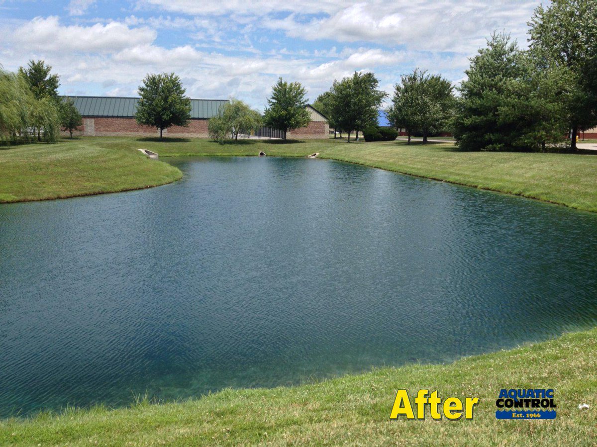 Aquatic_Control's tweet image. Courtesy of our services team, this proves that the battle on algae can be won. #TransformationTuesday