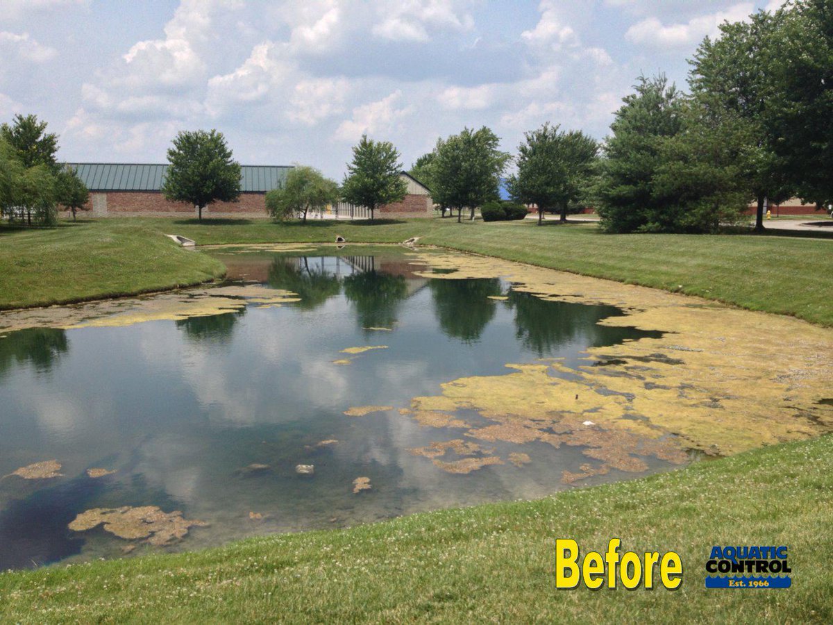 Aquatic_Control's tweet image. Courtesy of our services team, this proves that the battle on algae can be won. #TransformationTuesday