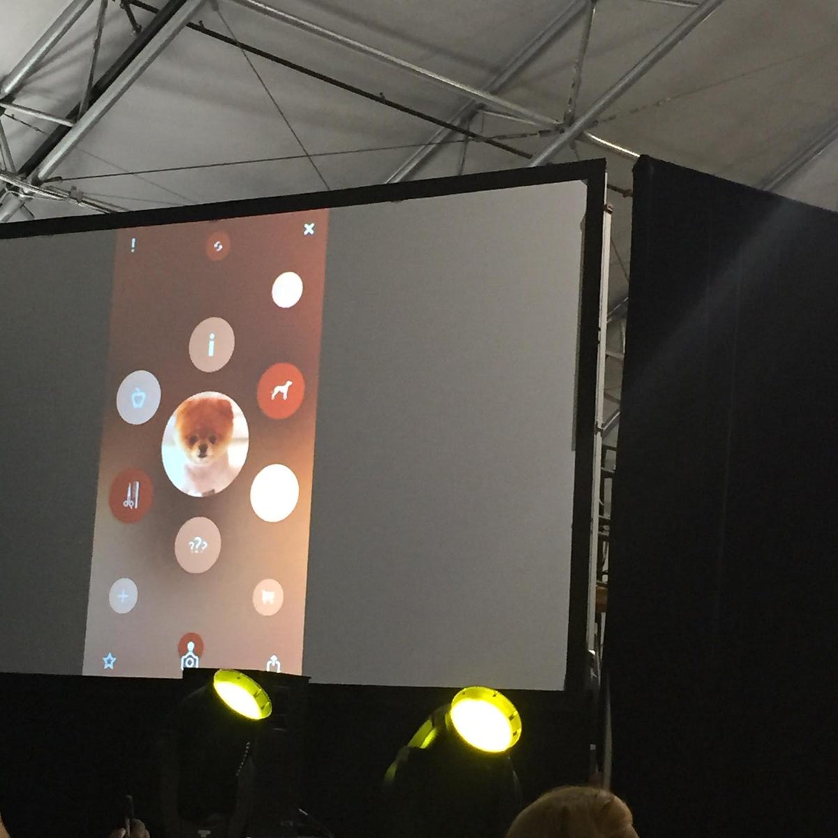 MargaretMolloy's tweet photo. Outstanding demo by @rishmitra of augmented reality #internetONThings #blippar #collisionConf http://t.co/5SOmibkUP6