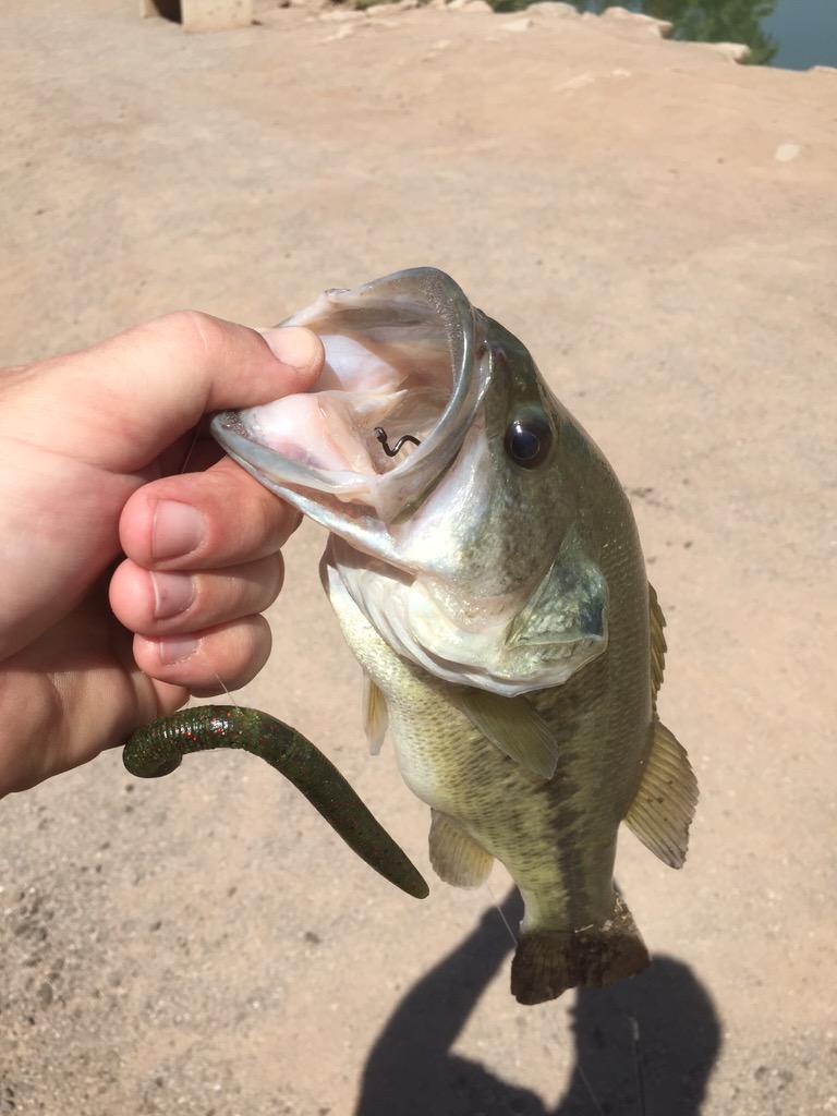 Fishinthejig's tweet photo. When the bites are few, remember to slow it down... http://t.co/PQU9WgGpjF