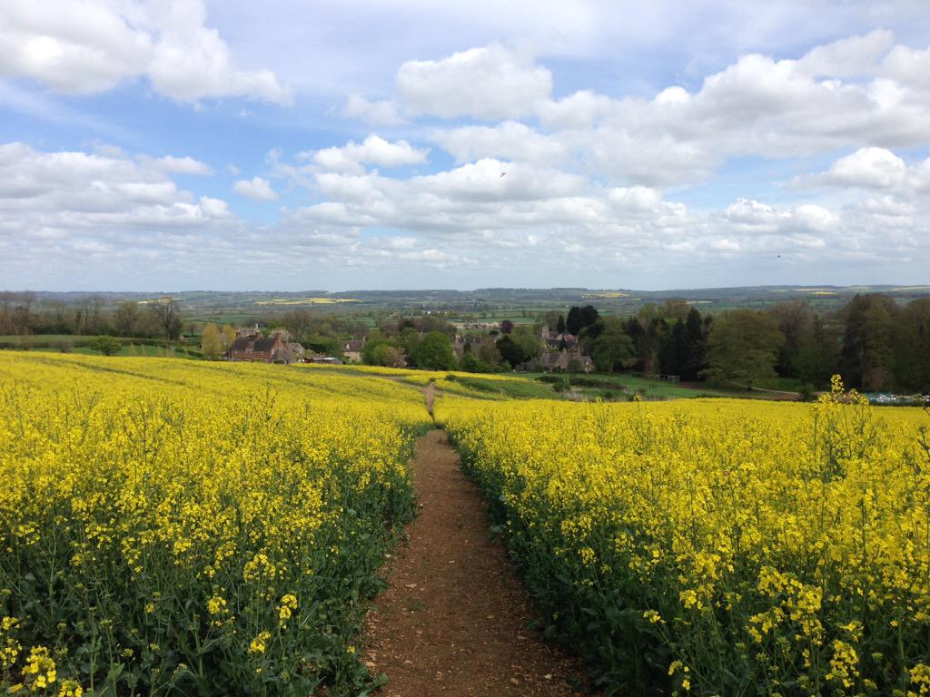 LisaCWillis's tweet photo. Walked part of the Heart of England Way yesterday and got to enjoy views like this :) http://t.co/LU8NOSPV0a
