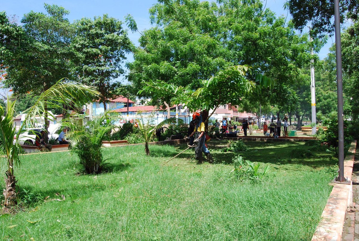 GilbertoSerulle's tweet photo. RD celebra hoy 5 de Mayo el Día del Árbol: por su valor en la tierra, la conservación del agua, bosques y especies. http://t.co/pxjIN2MSUn