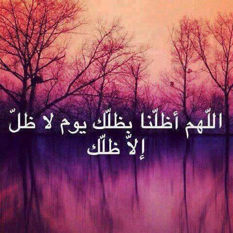 mohamad-adi (@mohamadadi1) on Twitter photo 