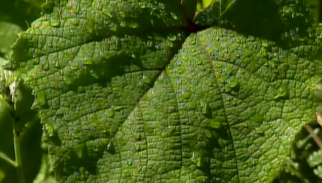 tinymixtapes's tweet photo. ♫ @ArijRusso premieres ‘Aqua Vitae’ (@NewAncestorsNYC) http://t.co/CNtPSzvY76 http://t.co/44LOn51MSk