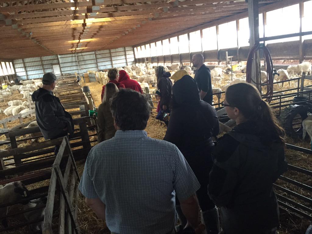 MichAgCouncil's tweet image. Huge thanks to the Oswalt family for hosting us for our #mifood pasture-based #farm destination!