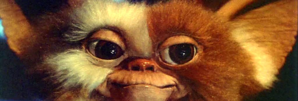 matteoticca's tweet photo. Sento il bisogno di averne uno. #devoaverlo #mogwai #gremlin http://t.co/obdi3JmZKt