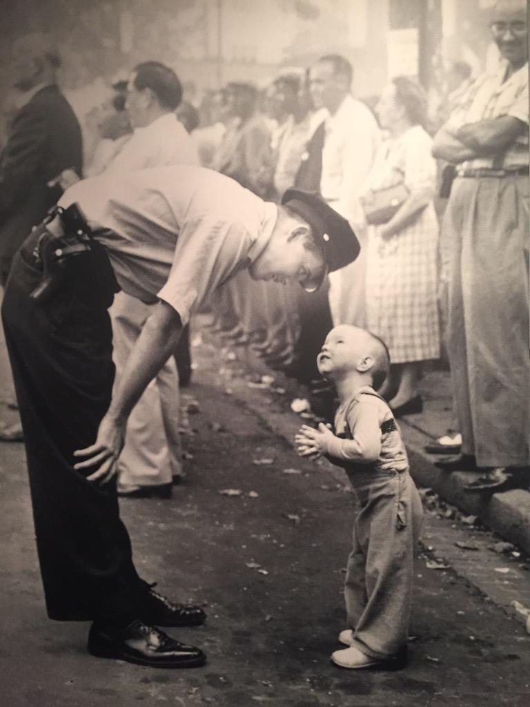 SallyN2015's tweet photo. I also liked this picture because it is a unique image of innocence. #dcskylion http://t.co/DLtoepugl5