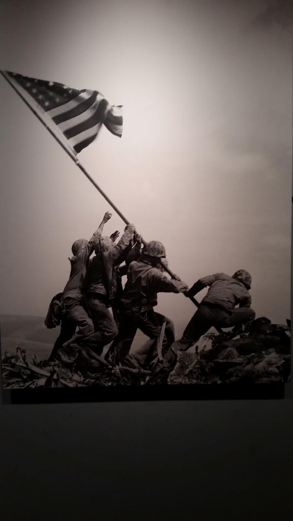 pmorrison2015's tweet photo. #dcskylion This photo  affected me because I felt that it represented both the destruction and regrowth of wartime http://t.co/b3HyQ0lwuZ