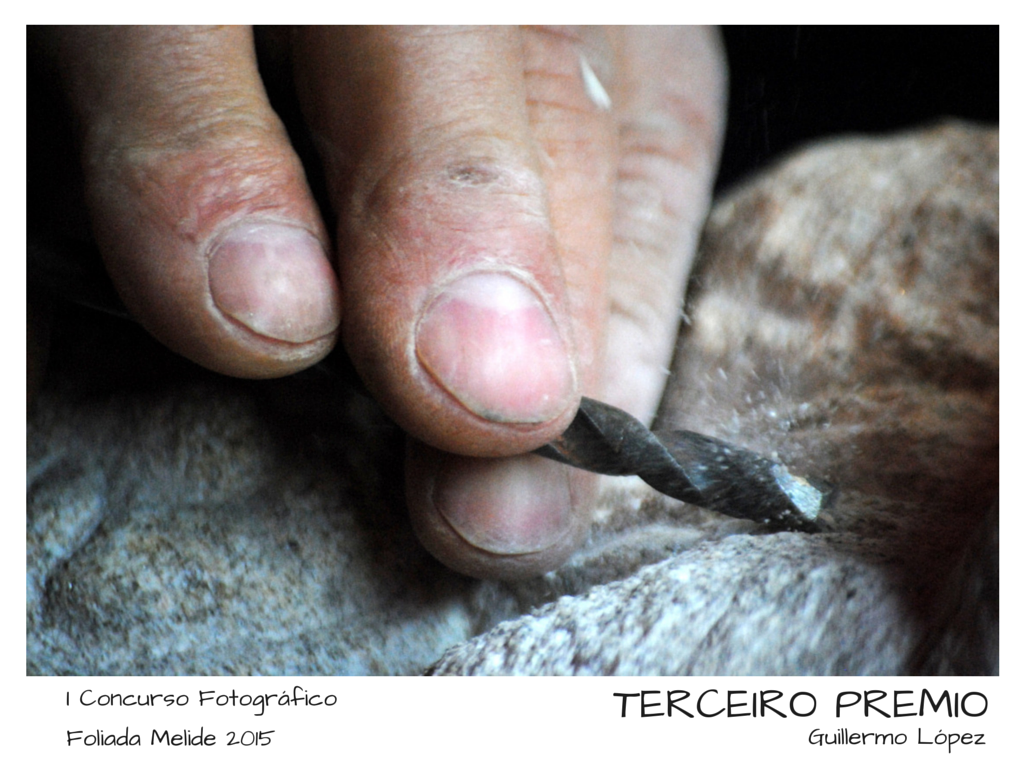 Velaquí temos aos gañadores do I Concurso Fotográfico da Foliada de Melide. Noraboa a Guillermo López, 3º premio.