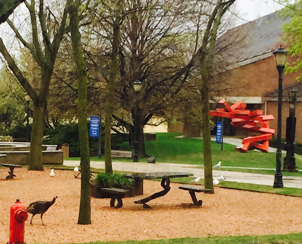 MUseagulls's tweet photo. Just a couple of birds hanging out. @MU_Turkey http://t.co/9KrngSnWQo