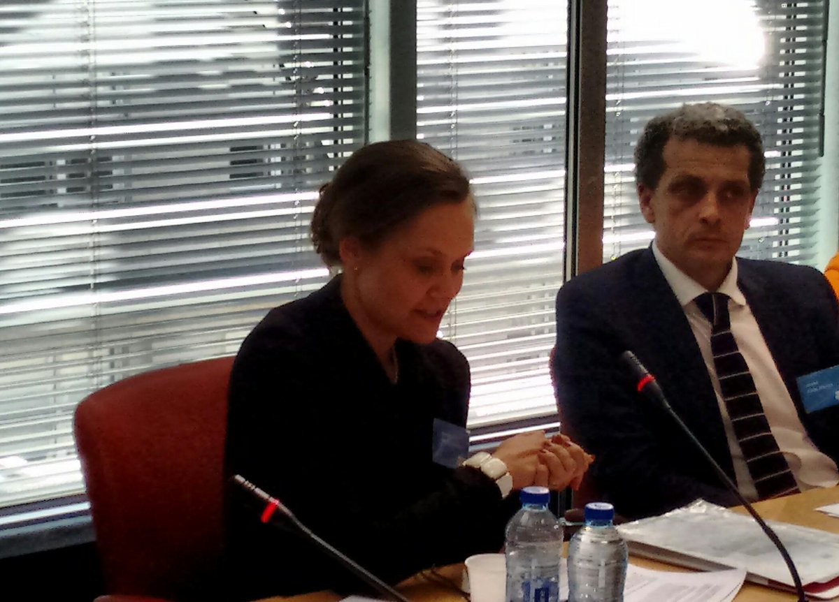 eunewsit's tweet image. L'intervento di @AnnikaAhtonen (@epc_eu) ad  #HowToGoGreen