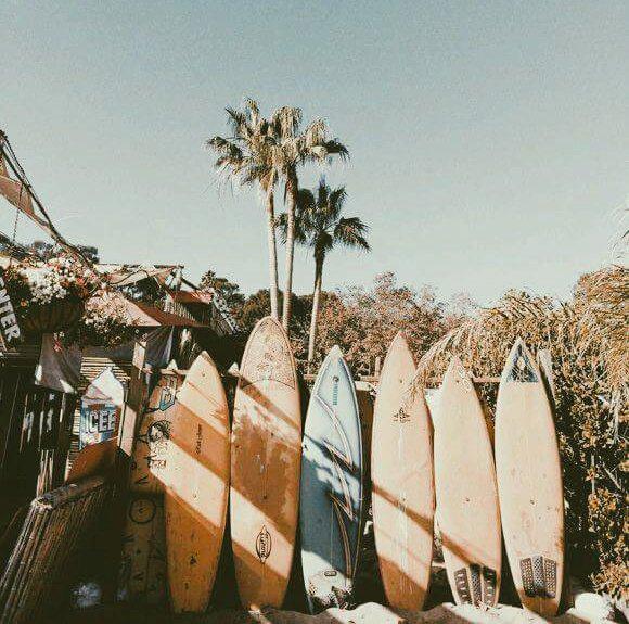 summerwavemx's tweet photo. Hoy en la noche una sorpresita radikal, estén pendientes... 🍕🍣🍄🌺🌴🌞👍✌🍀🌻🌼🌹🌊🌴 http://t.co/FqicvEp4C1