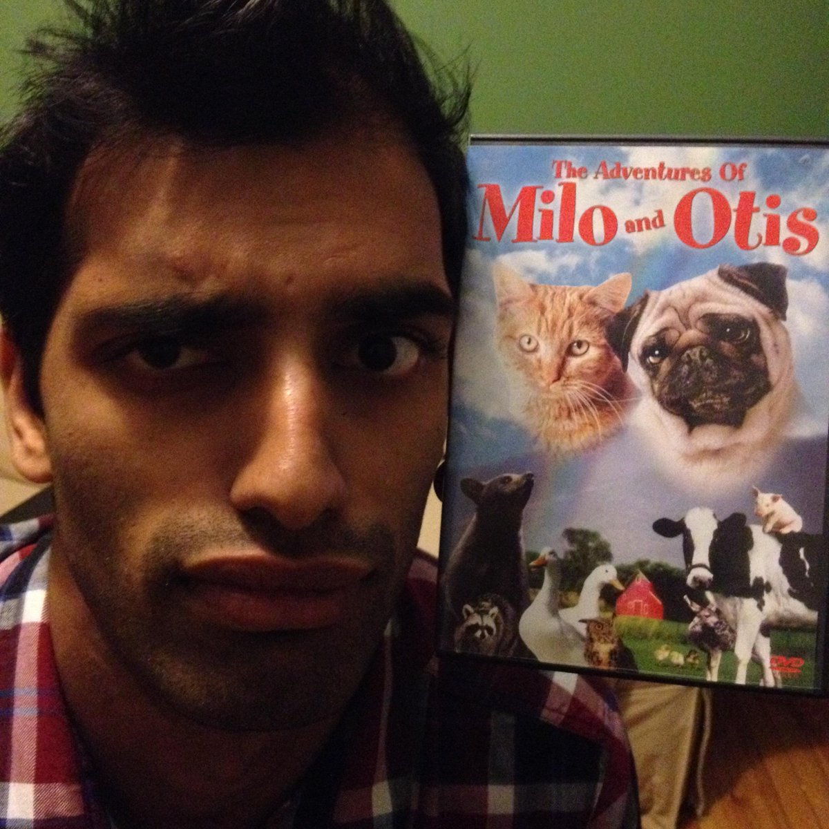 dinkfloydcomedy's tweet photo. brainstorming for montreal sketchfest: jiva &amp; milo &amp; otis #dinkfloyddoesthemovies http://t.co/6fPvG0MIX3