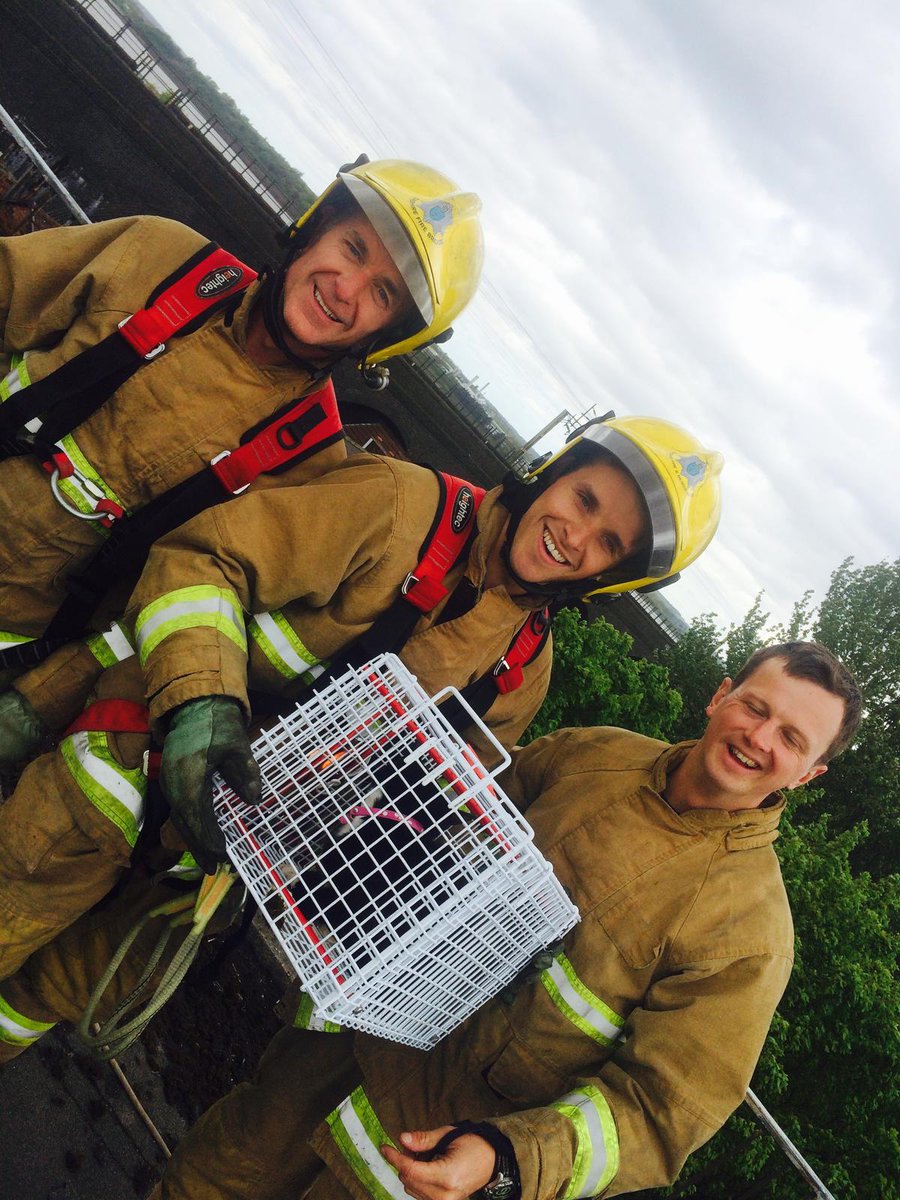 CheshireFire's tweet image. The crew named this cat Lucky after they rescued it from Halton's Jubilee Bridge. bit.ly/1IK582h