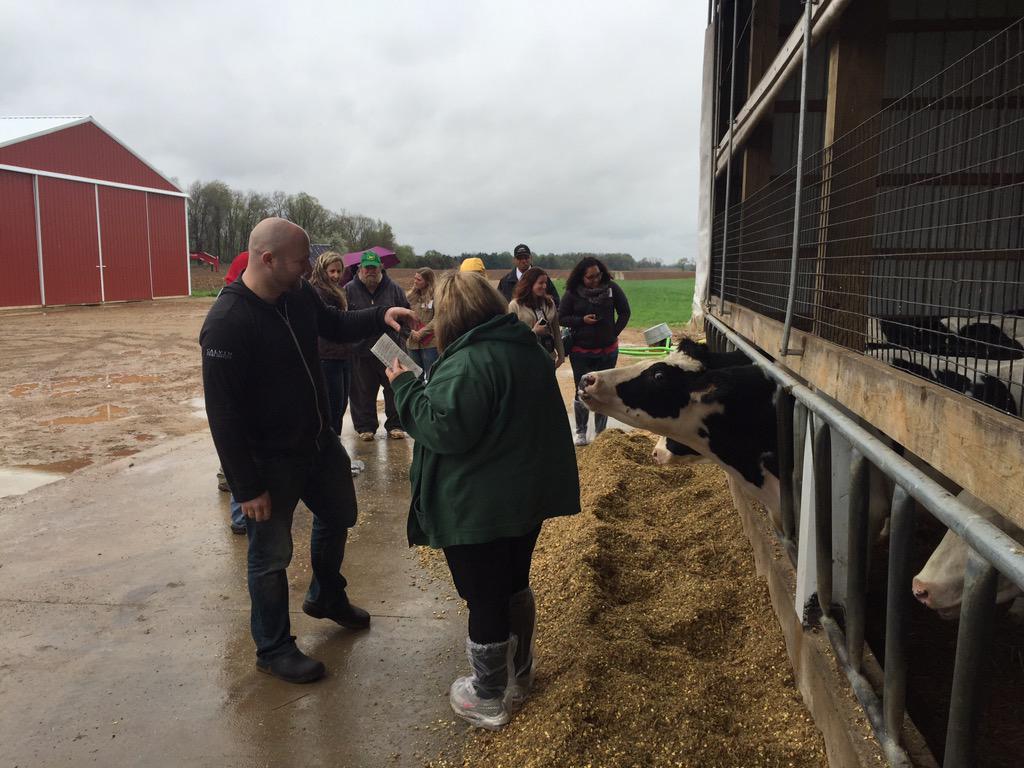 MichAgCouncil's tweet image. These cows wanted to see what the #mifood attendees were all about!