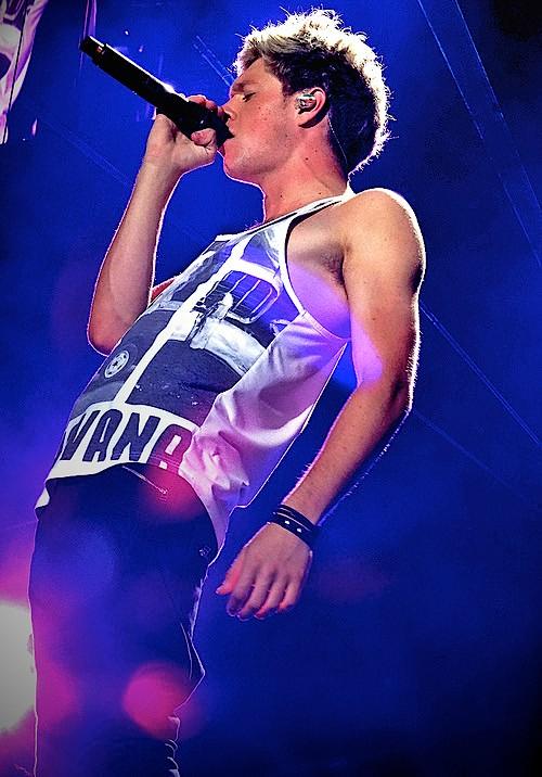 jkarmyxx's tweet photo. Bonne nuit πΊ rΓͺvez bien de Niall ce soir πΊ #offhoran http://t.co/SHvZ75VT0Q