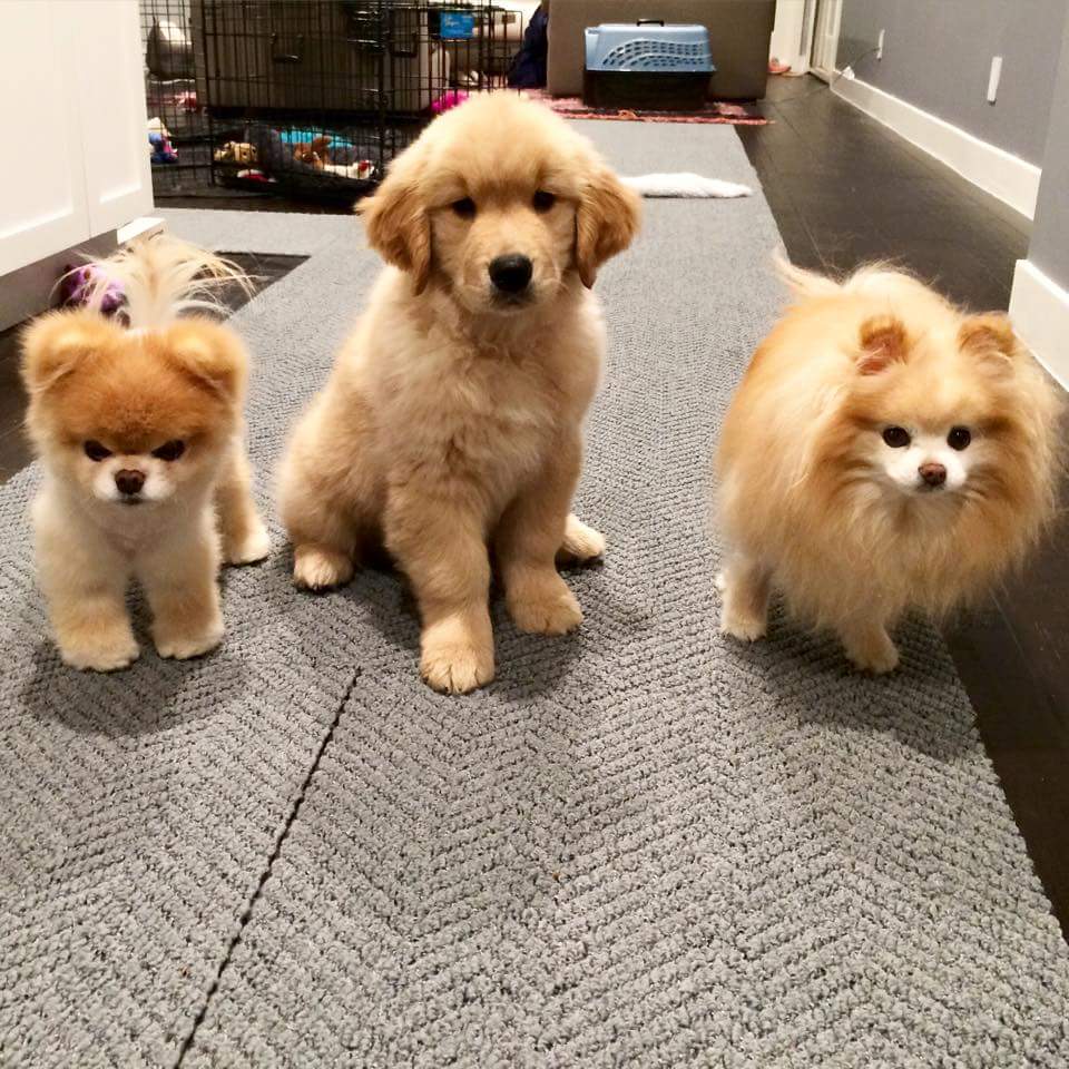 RobbyDharma's tweet photo. The world is full of wonderful things you haven't seen yet. Don't ever give up on the chance of seeing them. http://t.co/iNtevGkaqU