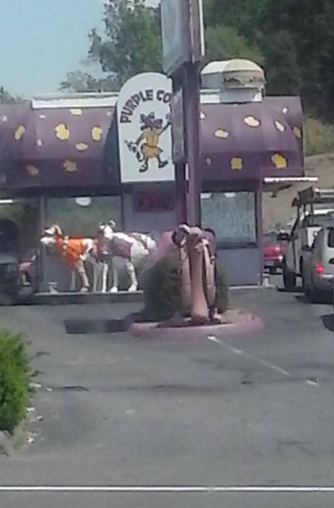 This is lunch. Never had  it before