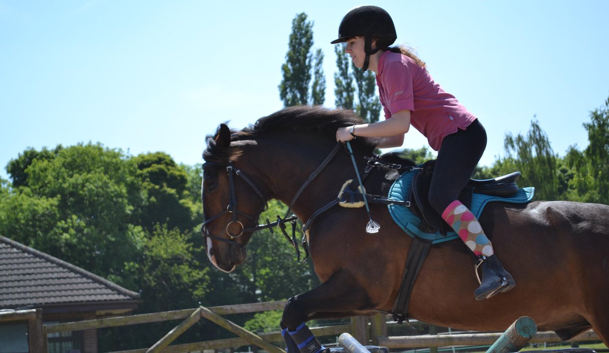 JumpstartEq's tweet photo. Example of the type of photography work we do #equestrian #photoshoot #horse http://t.co/4lPJKiNVCm