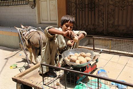 Michael Kelly SJ tweet media