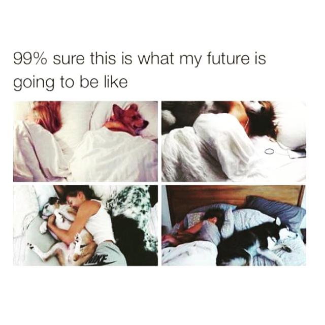 VaughanErinn's tweet photo. This is my present 
#99% #future #past #present #rightnow #bae #mylife #forever #foreveralone #dogs #yolo? http://t.co/5SuGrjerjW
