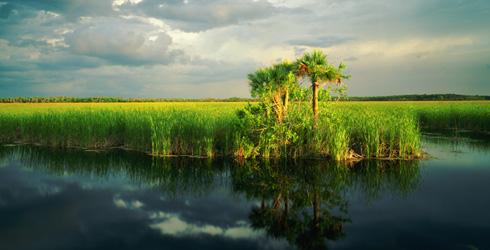 ProgressFlorida's tweet photo. Keep fighting until Legislature buys land for Everglades restoration http://t.co/qk5zJiatyX #pfla #SaveFLWater http://t.co/g6mzxmuVBt