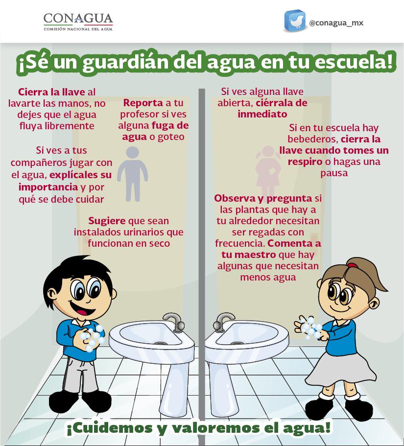 25 Plantas Ornamentales Qu Son Tipos Nombres E Imgenes 25 Plantas Ornamentales Qu Son Tipos Nombres E Imgenes