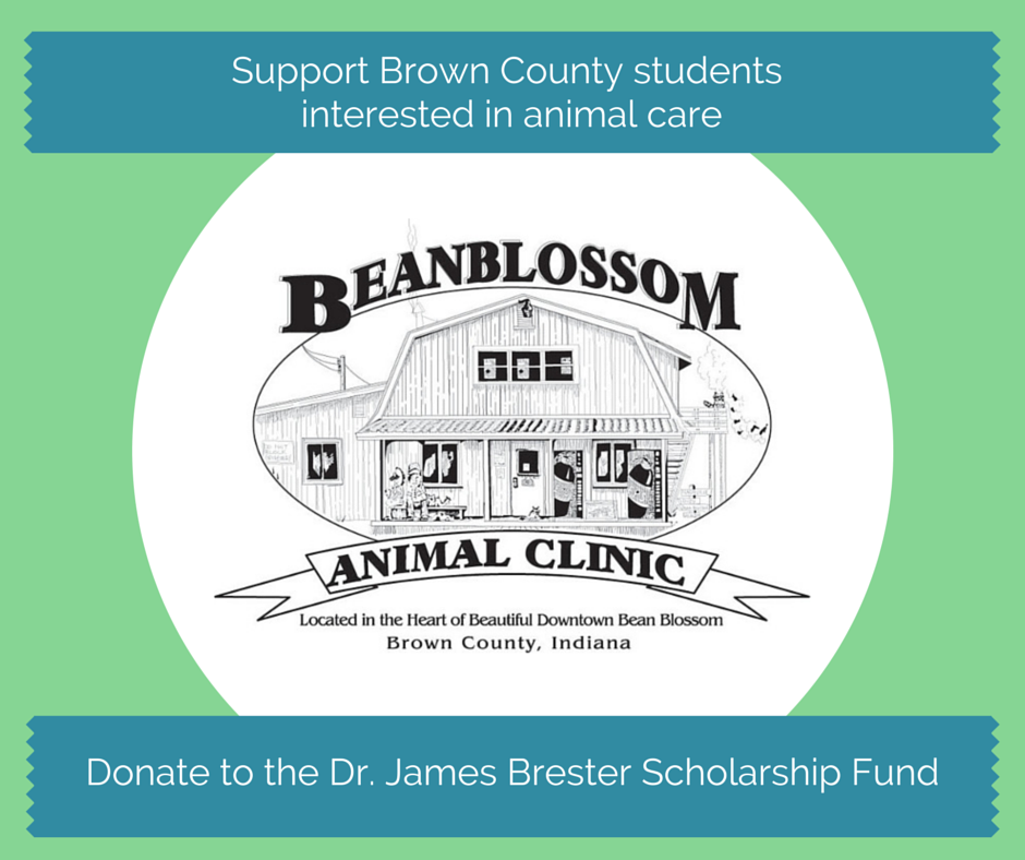 bccf indiana bccfin twitter